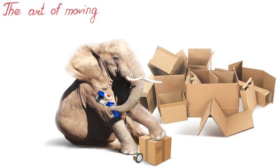 Packaging